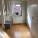 Bei Der Purpurbuche *