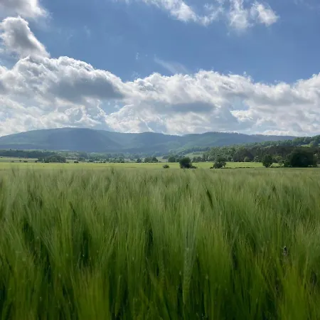 Bei Der Purpurbuche באד הרצבורג