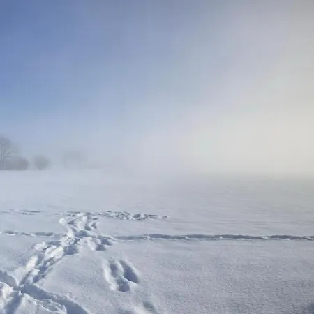 Bei Der Purpurbuche דירה *