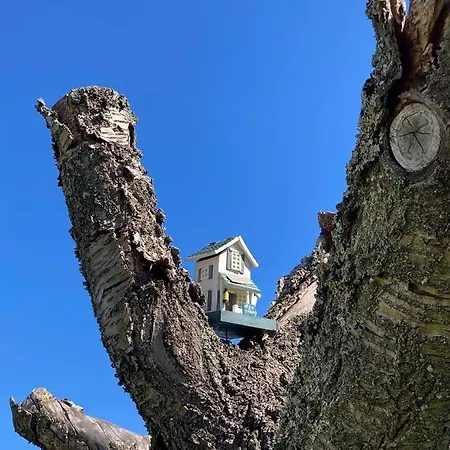 Apartament Bei Der Purpurbuche