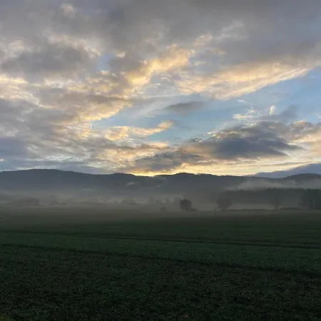 Bei Der Purpurbuche * Bad Harzburg