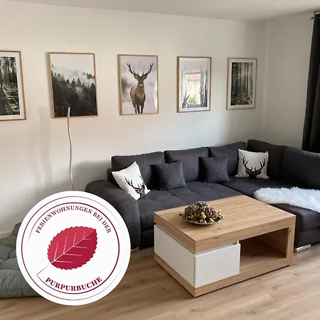 Bei Der Purpurbuche Apartament *