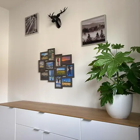 Bei Der Purpurbuche