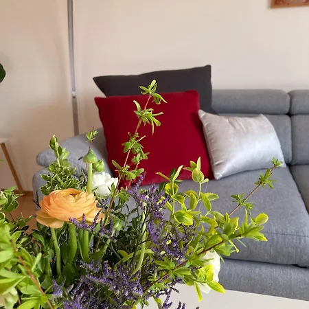 Bei Der Purpurbuche Apartamento Bad Harzburg