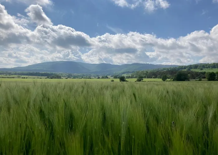 Bei Der Purpurbuche 巴特哈尔茨堡