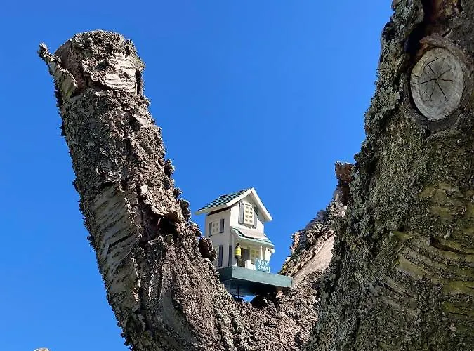 公寓 Bei Der Purpurbuche