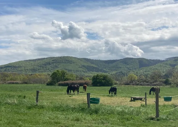 公寓 Bei Der Purpurbuche 巴特哈尔茨堡